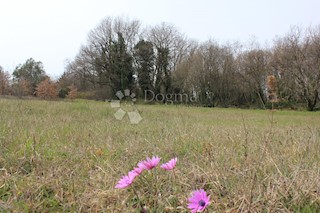 Land - Sale - ISTARSKA - VODNJAN - VODNJAN