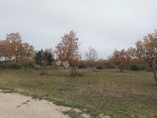 Land - Sale - ISTARSKA - VODNJAN - GAJANA