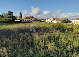 Land - Sale - ISTARSKA - MARČANA - MARČANA