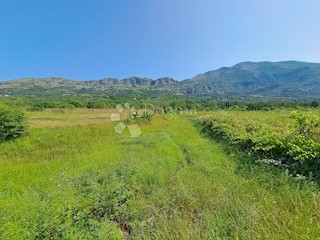 Zemljište - Prodaja - DUBROVAČKO-NERETVANSKA - KONAVLE - MIHANIĆI
