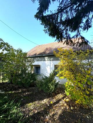 House - Sale - BJELOVARSKO-BILOGORSKA - DARUVAR - GORNJI DARUVAR