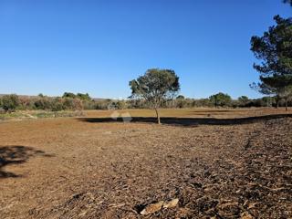 Land - Sale - ISTARSKA - PULA - PULA