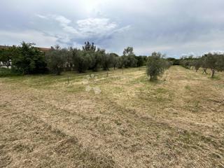 Land - Sale - ISTARSKA - LIŽNJAN - VALTURA