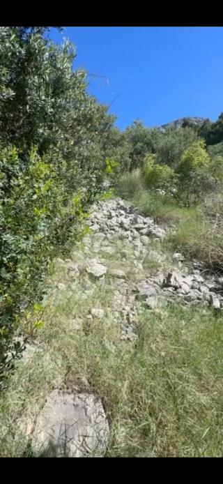 Land - Sale - SPLITSKO-DALMATINSKA - GRADAC - BRIST