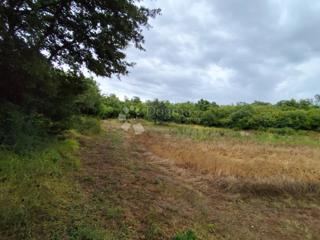 Land - Sale - ISTARSKA - VODNJAN - VODNJAN