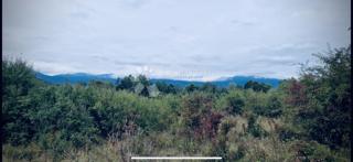 Land - Sale - LIČKO-SENJSKA - GOSPIĆ - DIVOSELO