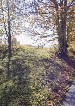 Grundstück - Verkauf - PRIMORSKO-GORANSKA - RAVNA GORA - RAVNA GORA