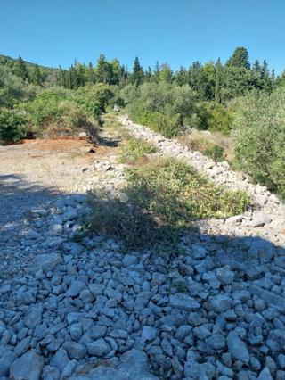 Grundstück - Verkauf - ZADARSKA - DUGI OTOK - BOŽAVA