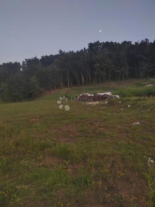 Grundstück - Verkauf - ISTARSKA - PIĆAN - PIĆAN