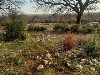 Land - Sale - ZADARSKA - POSEDARJE - SLIVNICA