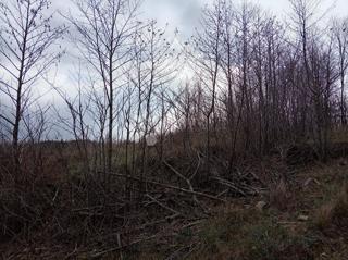 Land - Sale - PRIMORSKO-GORANSKA - KLANA - KLANA