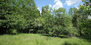 Land - Sale - PRIMORSKO-GORANSKA - FUŽINE - LIČ