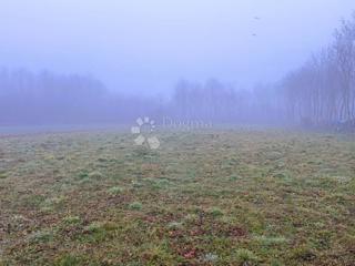 Grundstück - Verkauf - MEĐIMURSKA - DONJI KRALJEVEC - PALINOVEC