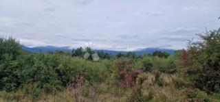 Land - Sale - LIČKO-SENJSKA - GOSPIĆ - DIVOSELO