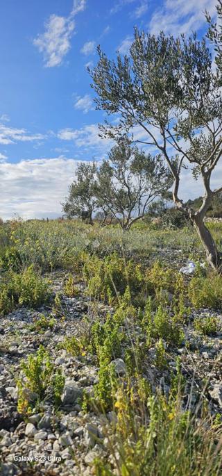 Zemljište - Prodaja - ŠIBENSKO-KNINSKA - ROGOZNICA - LOŽNICE