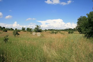 Land - Sale - ISTARSKA - SVETVINČENAT - SVETVINČENAT