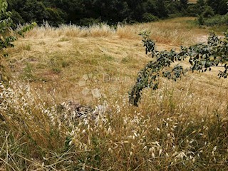 Land - Sale - ISTARSKA - VODNJAN - VODNJAN