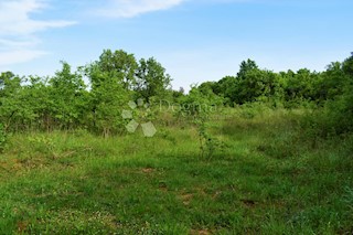 Land - Sale - ISTARSKA - BALE - BALE