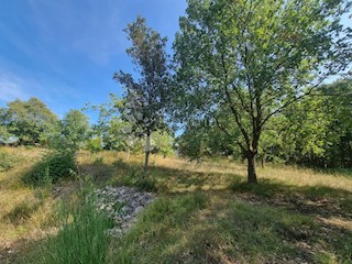 Land - Sale - ISTARSKA - PULA - PULA