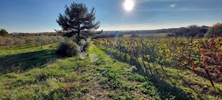 Land - Sale - ISTARSKA - PULA - PULA