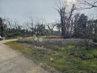Land - Sale - ISTARSKA - MARČANA - PERUŠKI