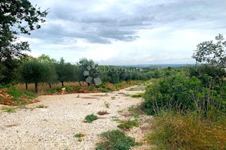 Land - Sale - ISTARSKA - PULA - PULA
