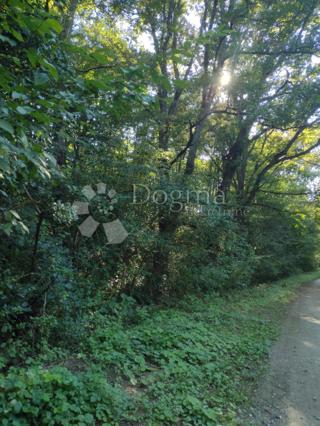 Zemljište - Prodaja - SISAČKO-MOSLAVAČKA - GVOZD - GORNJA ČEMERNICA