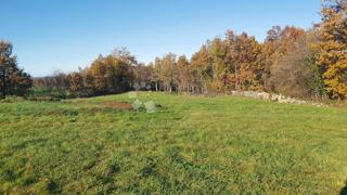 Grundstück - Verkauf - ISTARSKA - ŽMINJ - ŽMINJ