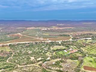 Land - Sale - ISTARSKA - BALE - BALE