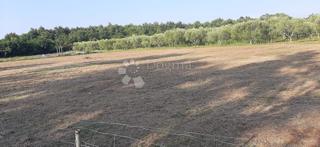 Land - Sale - ISTARSKA - TAR-VABRIGA - TAR