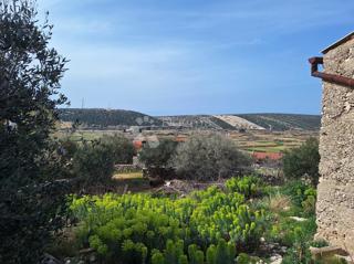 Land - Sale - ZADARSKA - PAG - KOLAN