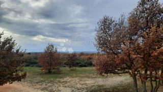 Zemljište - Prodaja - ISTARSKA - VODNJAN - VODNJAN