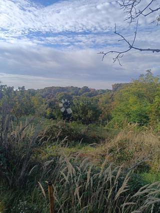 Grundstück - Verkauf - GRAD ZAGREB - ZAGREB - MARKUŠEVEC