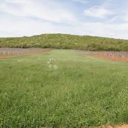 Zemljište - Prodaja - ISTARSKA - SVETI LOVREČ - FLENGI