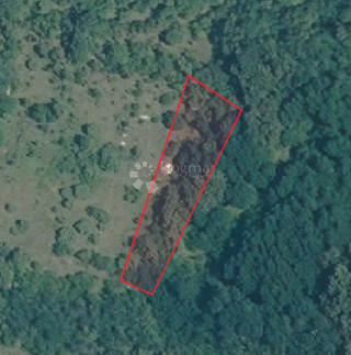 Zemljište - Prodaja - ISTARSKA - SVETVINČENAT - ČABRUNIĆI