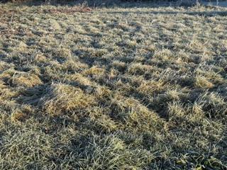 Zemljište - Prodaja - MEĐIMURSKA - ČAKOVEC - ČAKOVEC