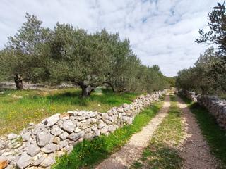 Zemljište - Prodaja - SPLITSKO-DALMATINSKA - MARINA - VRSINE