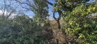 Grundstück - Verkauf - ISTARSKA - MARČANA - PERUŠKI