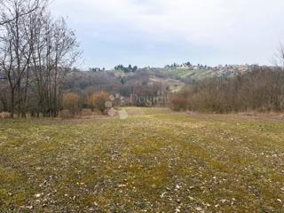 Land - Sale - VARAŽDINSKA - GORNJI KNEGINEC - VARAŽDIN BREG