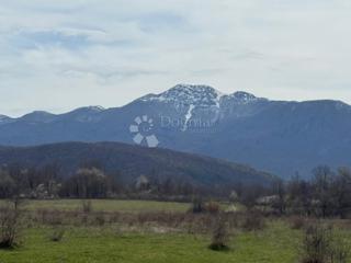 Land - Sale - LIČKO-SENJSKA - GOSPIĆ - DIVOSELO