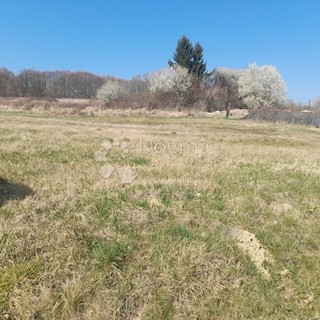 Grundstück - Verkauf - MEĐIMURSKA - SVETI MARTIN NA MURI - GRADIŠČAK