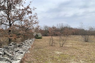 Land - Sale - ISTARSKA - KANFANAR - KANFANAR