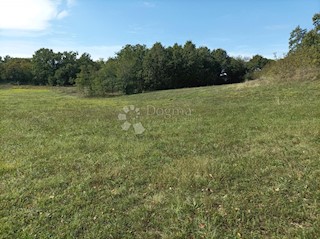 Land - Sale - ISTARSKA - ŽMINJ - ŽMINJ