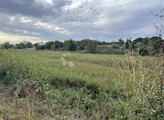 Land - Sale - ISTARSKA - FAŽANA - VALBANDON