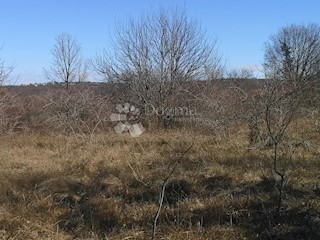 Land - Sale - ISTARSKA - LABIN - LABIN