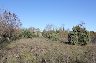 Zemljište - Prodaja - ISTARSKA - MARČANA - FILIPANA
