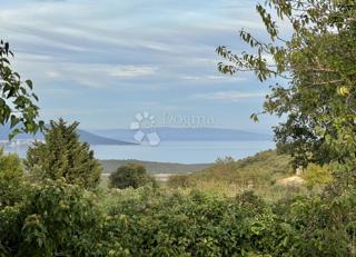 Land - Sale - ISTARSKA - MARČANA - KAVRAN