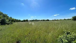 Land - Sale - ISTARSKA - MARČANA - MARČANA