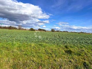 Land - Sale - VARAŽDINSKA - VARAŽDIN - VARAŽDIN