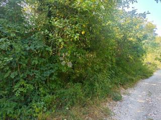Land - Sale - PRIMORSKO-GORANSKA - MATULJI - VELI BRGUD